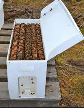 Load image into Gallery viewer, 50% non refundable deposit for a 4 and 5 Frame Nucs, total cost is $165 plus tax or $185 plus tax.