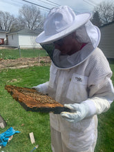 Load image into Gallery viewer, 50% non refundable deposit for a 4 and 5 Frame Nucs, total cost is $165 plus tax or $185 plus tax.