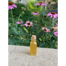 Load image into Gallery viewer, Spring Honey 4 oz Muth Jar
